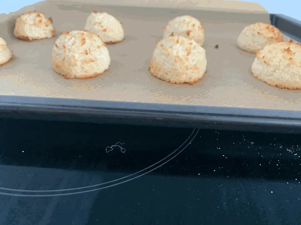 kokosrotsjes (per 10)